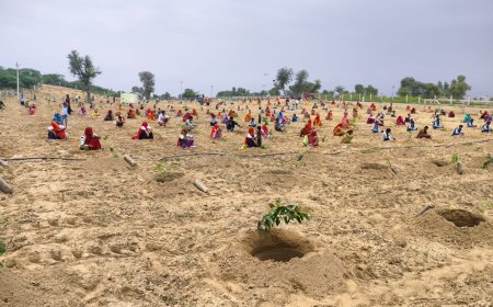 एक पेड़ मां के नाम